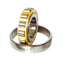 Cylindrical Roller Bearing (N205)