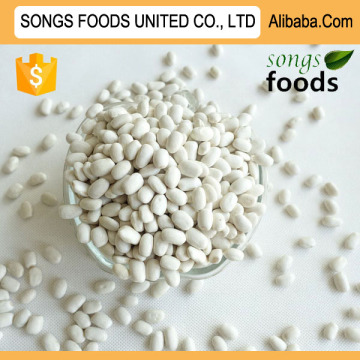 Exporter Business Opportunities White Kidney Beans