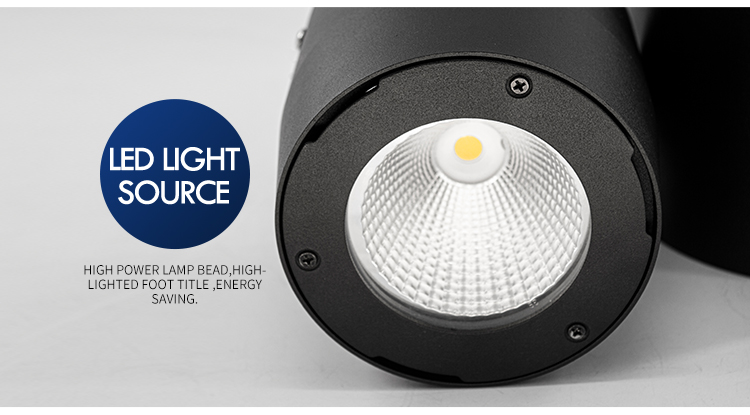 Surface Mounted Downlight