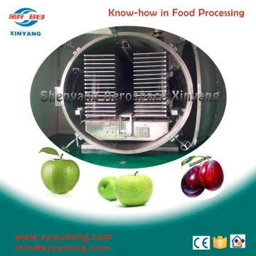 freeze dryer equipment, marine lyophilizer,food Dehydrator