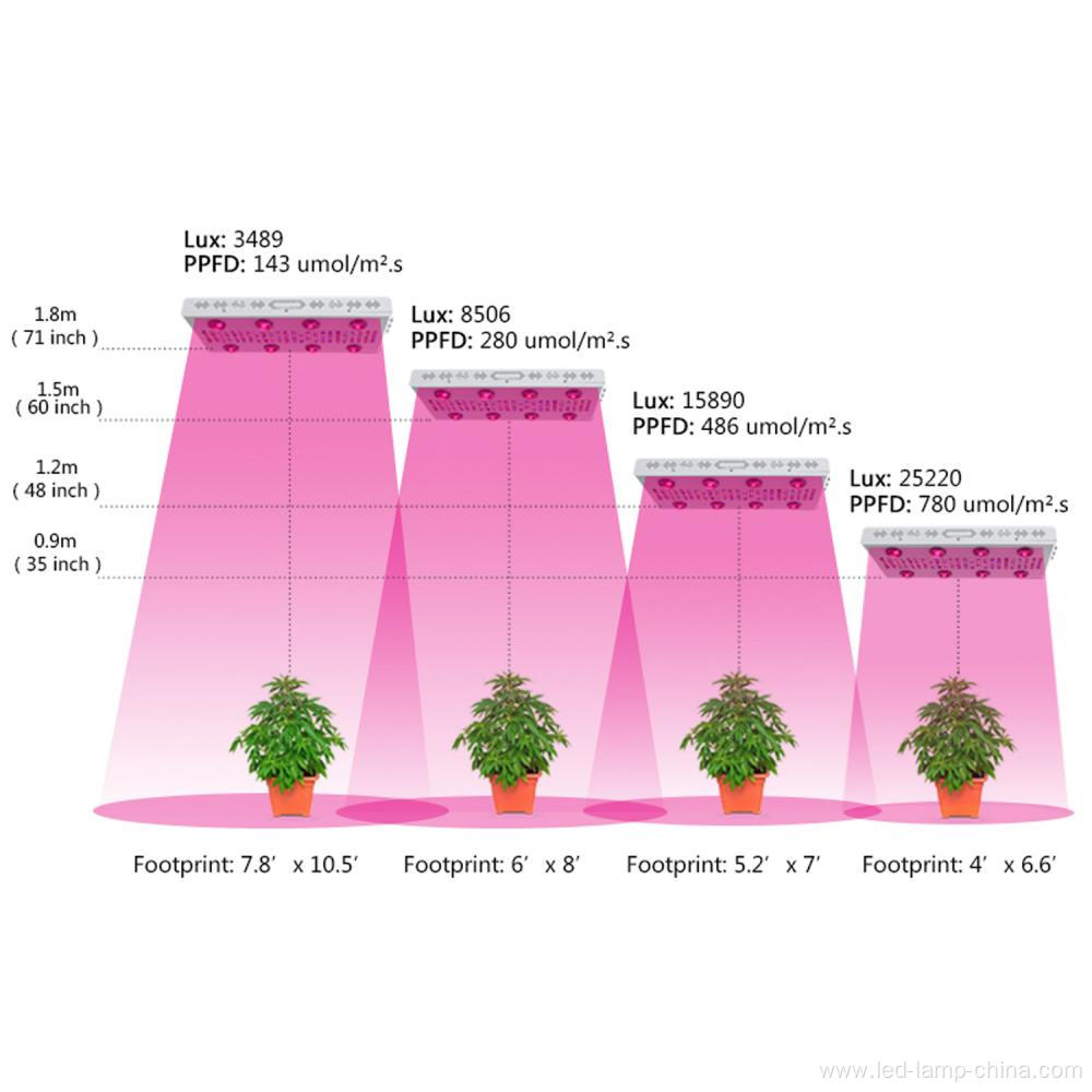 Daisy Chain 3000W 5000W Led Grow Light