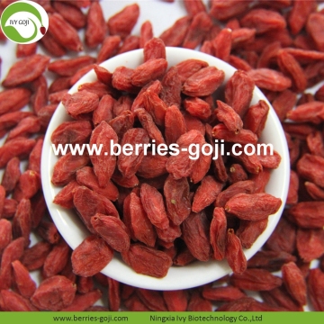 Buy Natural Fruit Anti Cancer Chinese Wolfberry