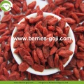 Koop Natural Fruit Anti Cancer Chinese Wolfberry