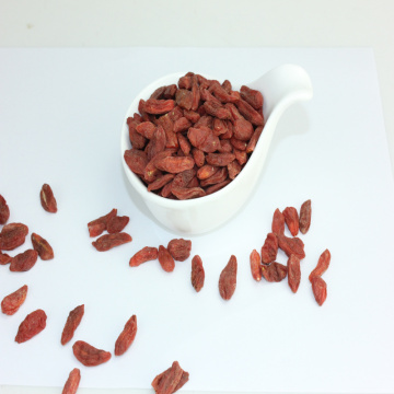 High nutrition  Chinese Herb Medicine goji berry