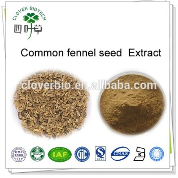 10:1 20:1 Natural Fructus Foeniculi extract powder