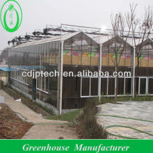 12M Wide Span Greenhouse