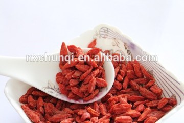 bulk goji berries--production base