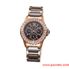 Pasnew Aoifa Lon Palting Bezel Watches