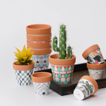 Modern Stylish Garden Flower Pots & Planters