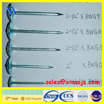 roofing nail/roofing nail factory/roofing screw nails with plastic caps