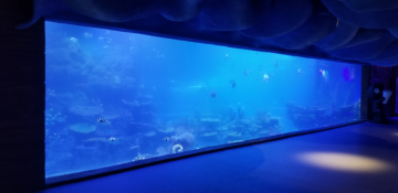 One Time Luxury Large Custom Acrylic Aquarium Tunnel