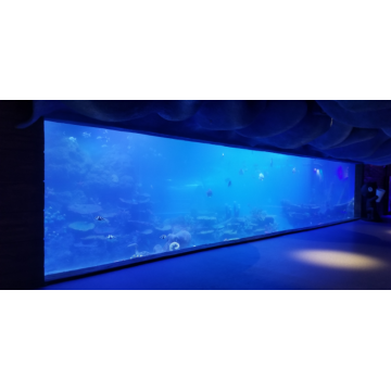 Eén keer luxe grote aangepaste acryl -aquariumtunnel