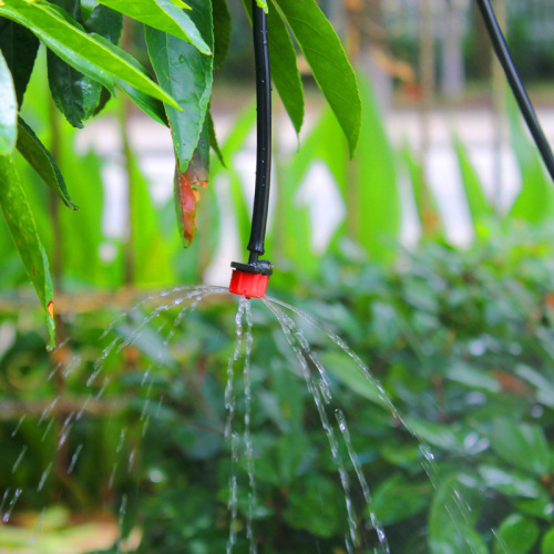 Arrosage plastique agricole Régulateur de filtration automatique