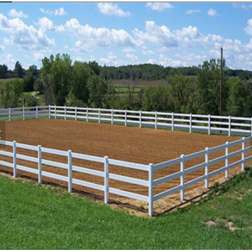 Cavalo Esgrima Venda