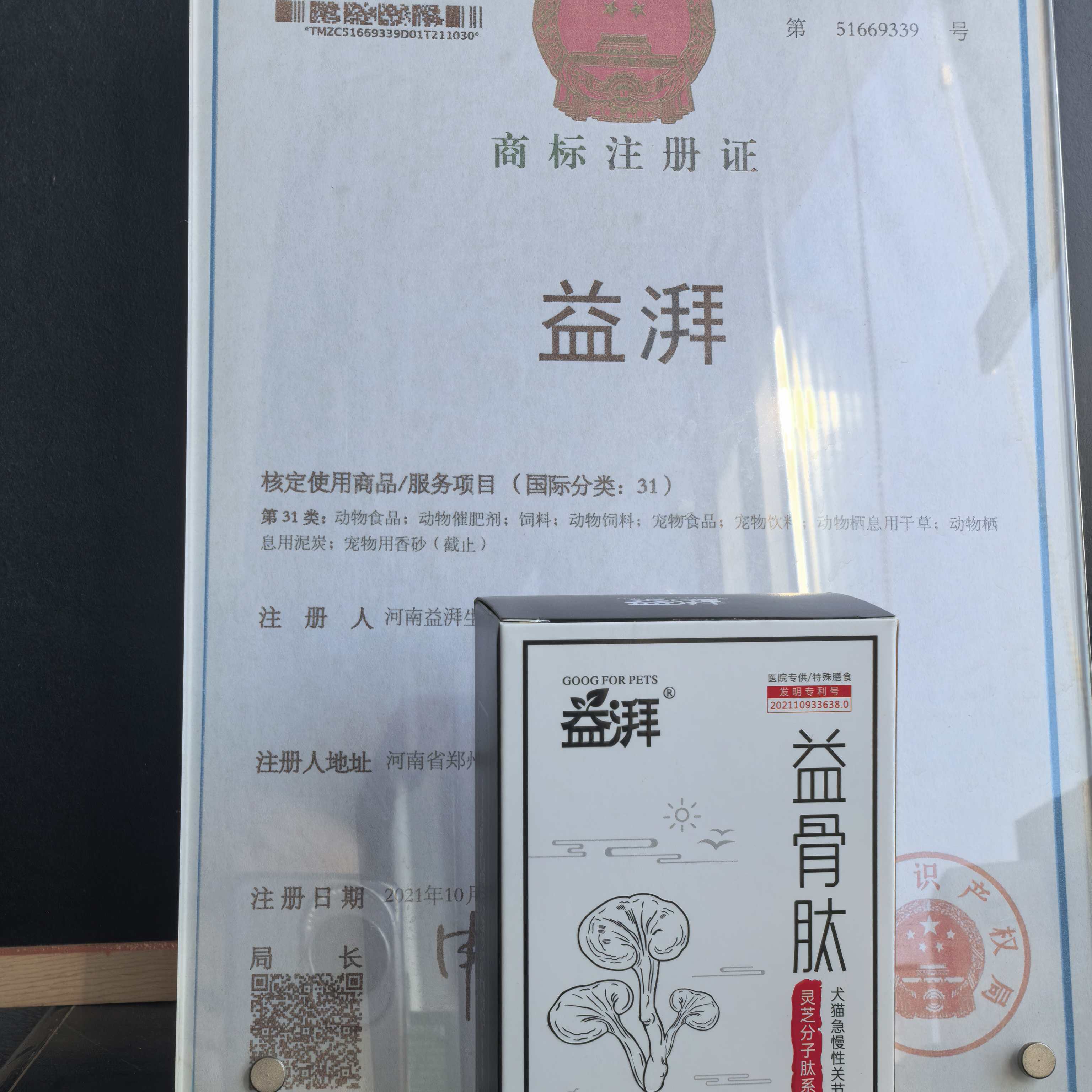 Suplementos para articulações e ossos de animais de estimação5 Pet Joint and Bone Supplements5