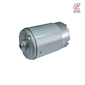 Low voltage motor high torque mini dc