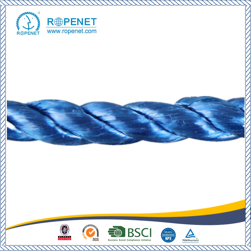 High Quality 3 Strands Twisted PP Blue Rope