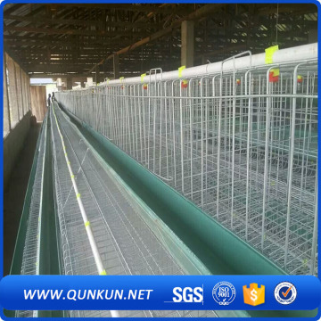 Chicken Cages Enclosures For Sale