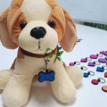 Etiqueta de mascotas personalizada grabada en silicona