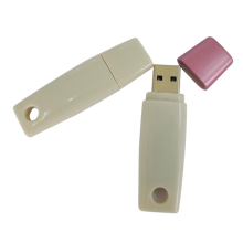 Simple Plastic Material USB Flash Drive Bulk
