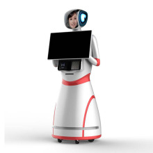 Intelligent Humanoid Service and Marketing Guide Robots for Banks