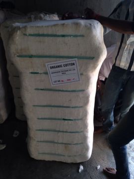 INDAN RAW COTTON