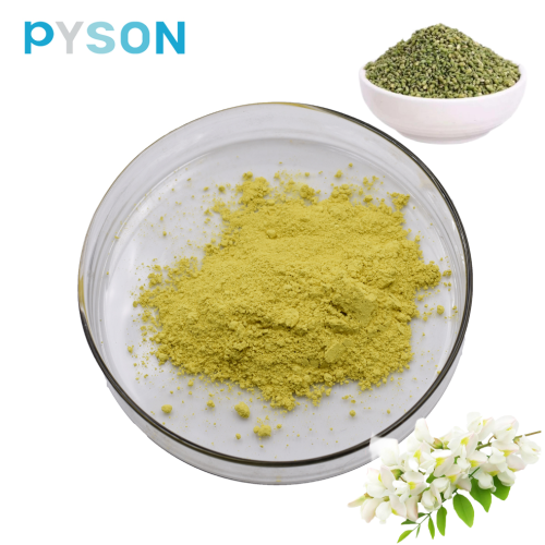 Sophora-Japonica-Extrakt; 95%-98% Quercetin durch HPLC