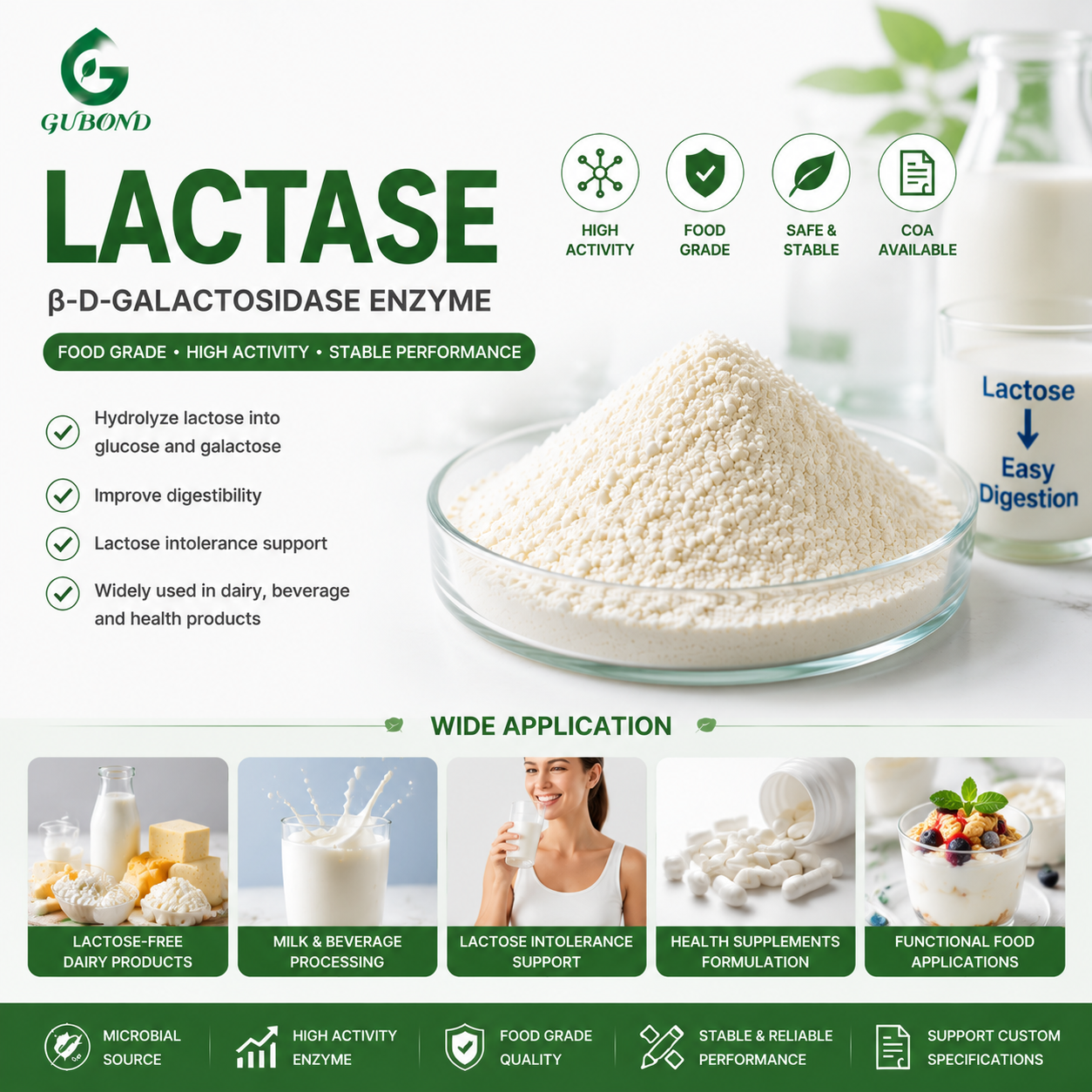Lactasa Lactase
