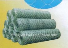 Chicken wire netting