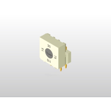 4 Kademe 10x10cm Döner Kodlu DIP Switch