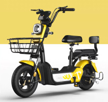 Factory Direct Cheap Electric Bikes with Assisted Pedals - Electric Bicycle/Electric Moped