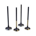 factory price Titanium Engine Valves for VOLKSWAGEN BKD