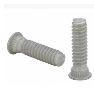 FHS Standard Screwening Riveting Stainless Extrusion Screw