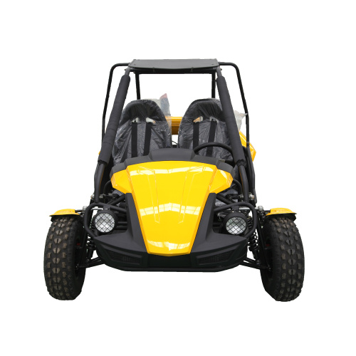 250cc engine cart automatic dune buggy for adult