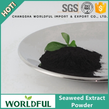 Worldful 100% Water Soluble Seaweed Extract Powder Organic Fertilizer Sargassum Seaweed Fertilizer