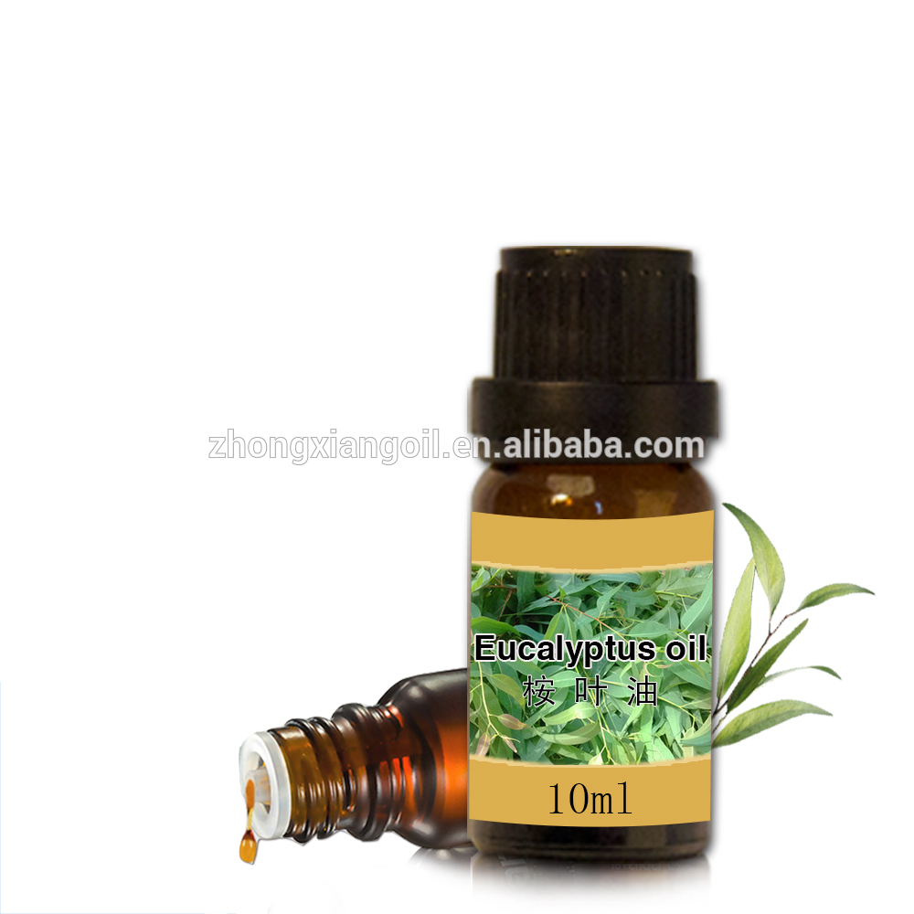 Pure And Natural Eucalyptus Essential Oil In Bulk