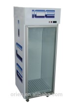 Indoor ice merchandiser/ bagged ice freezer
