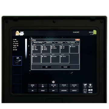 Ультрагукавое абсталяванне для ноўтбука пры захворваннях нырак сабакі