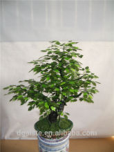 1m tall artificial banyan bonsai flower / tree ( plant bonsai flower RP002 / tree of DESTE )