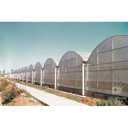 Poly Multi -Span Greenhouse Film Film Flower Grulhouse