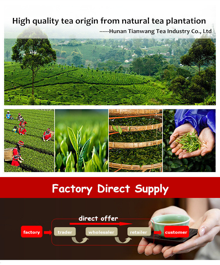 Factory supply New arrived Chinese special grade health green tea with strong taste and fresh aroma