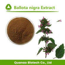 Extrato de Ballota Nigra / Black Horehound Extract Pó