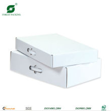 WHITE SHIPPING BOX WITH PLASTIC HANDLE