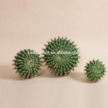 Hot Sale artificial cactus plants, artificial cactus,cheap artificial plants,indoor cactus plants