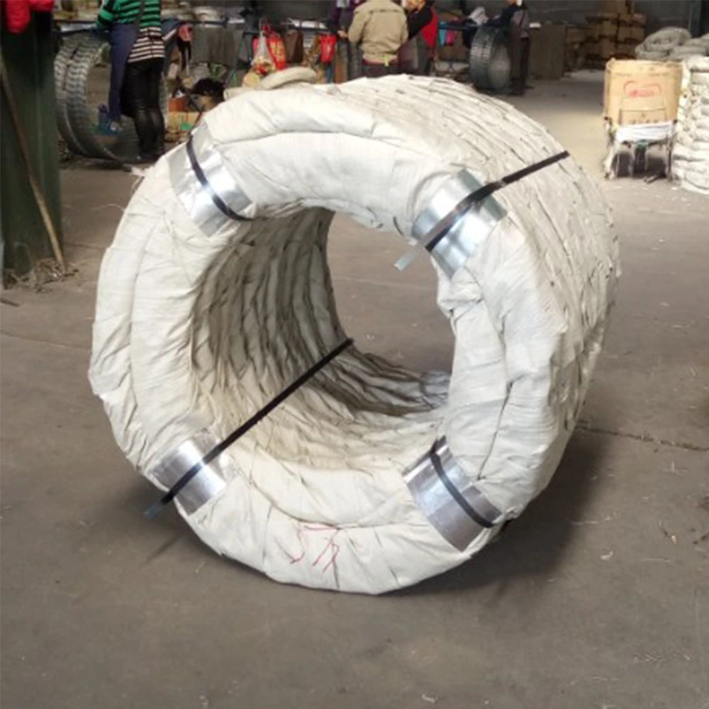 Top Quality Razor Wire Razor Ribbon Wire Fence