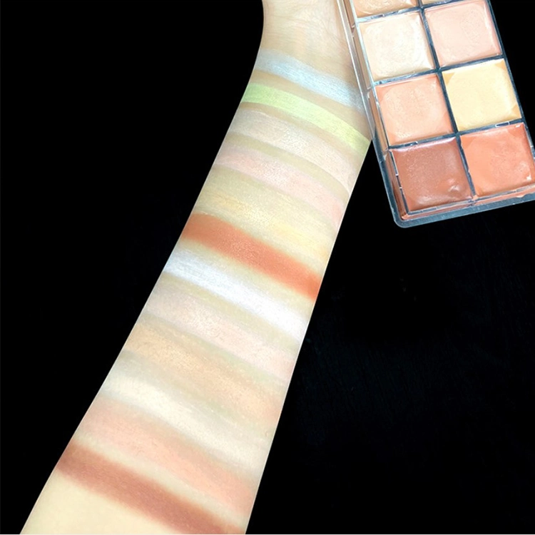 PRO Concealer Makeup 12 Color Full Coverage Concealer Private Label Concealer Pallete Makeup