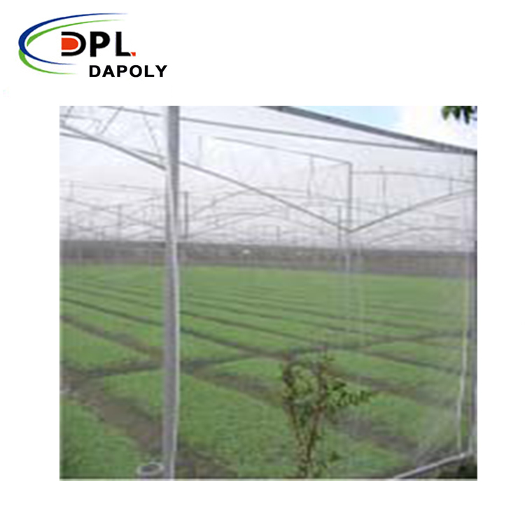 Agricultural Use Fruit Tree HDPE Insect Froof Bird Netting Waterproof Net for Agriculture