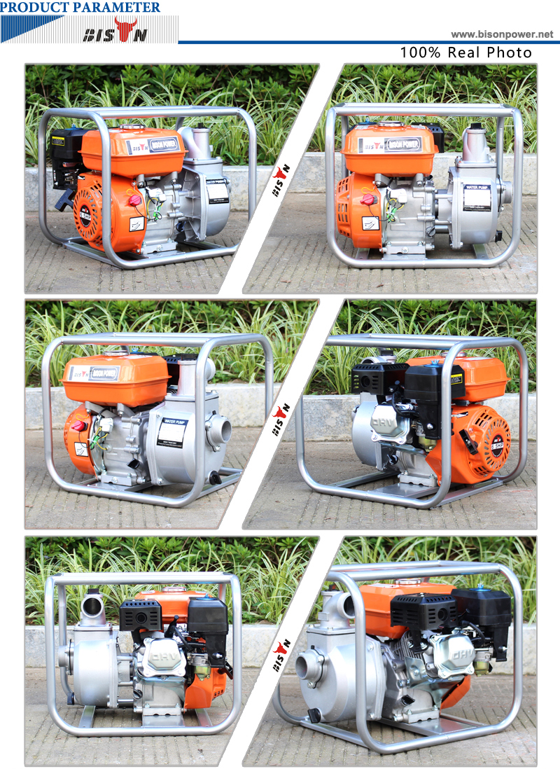 BISON China BS20 2 Inch Portable Gasoline Water Pump With 168F-1 6.5HP Engine