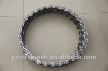 Razor Barbed Wire in Coils / Razor Barbed Wire Fence