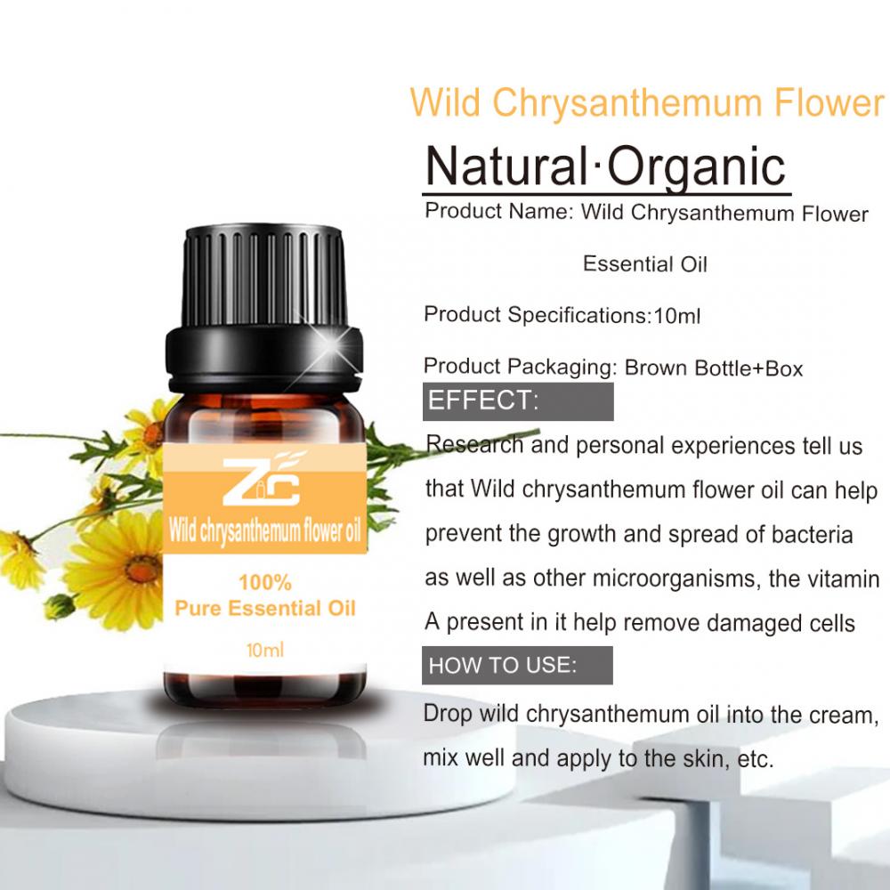 Olio essenziale di fiori selvatici di crisantemo selvatico di buona qualità